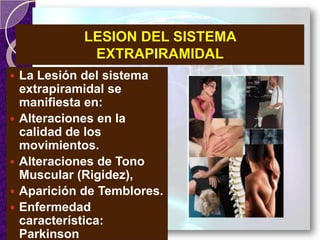 LESION DEL SISTEMA
EXTRAPIRAMIDAL
 La Lesión del sistema
extrapiramidal se
manifiesta en:
 Alteraciones en la
calidad de los
movimientos.
 Alteraciones de Tono
Muscular (Rigidez),
 Aparición de Temblores.
 Enfermedad
característica:
Parkinson
 