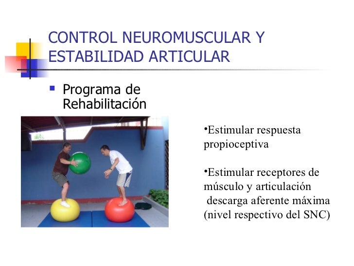 Control neuromuscular y estabilidad articular