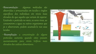 -Bioacumulação: algumas moléculas são
absorvidas e armazenadas em tecidos e órgãos
específicos dos indivíduos em níveis mais
elevados do que aqueles que seriam de esperar.
Existindo o pesticida no meio, os seres vivos, ao
consumirem a água ou outros organismos que
já o absorveram, podem acumulá-lo nos seus
tecidos
- Bioampliação: a concentração de alguns
pesticidas aumenta quando estes passam
sucessivamente para níveis tróficos mais
elevados das cadeias alimentares.
 
