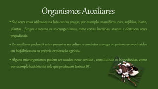OrganismosAuxiliares
- São seres vivos utilizados na luta contra pragas, por exemplo, mamíferos, aves, anfíbios, inseto,
plantas , fungos e mesmo os microrganismos, como certas bactérias, atacam e destroem seres
prejudiciais.
- Os auxiliares podem já estar presentes na cultura e combater a praga ou podem ser produzidos
em biofábricas ou na própria exploração agrícola.
- Alguns microrganismos podem ser usados nesse sentido , constituindo os biopesticidas, como
por exemplo bactérias do solo que produzem toxinas BT.
 