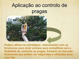 Aplicação ao controlo de
             pragas




Podem utilizar-se estratégias relacionadas com as
feromonas para atrair animais para armadilhas com a
finalidade de controlar as pragas. Existem no mercado
feromonas que podem ser adquiridas e utilizadas para
esse fim.
 