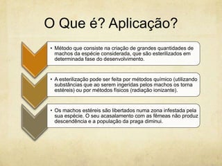 O Que é? Aplicação?
• Método que consiste na criação de grandes quantidades de
  machos da espécie considerada, que são esterilizados em
  determinada fase do desenvolvimento.


• A esterilização pode ser feita por métodos químico (utilizando
  substâncias que ao serem ingeridas pelos machos os torna
  estéreis) ou por métodos físicos (radiação ionizante).


• Os machos estéreis são libertados numa zona infestada pela
  sua espécie. O seu acasalamento com as fêmeas não produz
  descendência e a população da praga diminui.
 