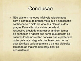 Conclusão
Não existem métodos infaliveis relacionados
com o controlo de pragas visto que é necessário
conhecer-se o ciclo de vida das plantas e das
pragas.Para além dos ciclos de vida do
respectivo afectado e agressor,támbem temos
de conhecer o habitat dos seres que atacam as
culturas.Podemos então concluir que é preferivel
optar pela luta integrada que tem como norma
usar técnicas da luta química e da luta biológica
tentando ao máximo não prejudicar os
ecossistemas.
 