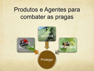 Produtos e Agentes para
  combater as pragas

              Luta
             quimica
   Luta                    Luta
 Biológica              integrada


             Proteger
 