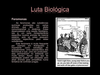 Luta Biológica
Feromonas
As feromonas são substâncias
químicas produzidas por certos
animais que têm um efeito
comunicacional à distância. Estas
desencadeiam uma reação fisiológica,
isto é, um certo comportamento
específico noutros animais da mesma
espécie, pois só estes possuem
recetores específicos para estas
substâncias.
Este fenómeno é muito frequente
por exemplo em Antrópodes e
importante como estratégia de
acasalamento. Uma característica das
feromonas é que, uma vez produzidas,
elas permanecem no ambiente por
muito tempo. Assim, este tipo de
estratégias podem ser utilizadas para
atrair animais para armadilhas numa
tentativa de controlar pragas.
 