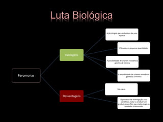 Luta Biológica
Feromonas
Vantagens
Ação dirigida para indivíduos de uma
espécie
Eficazes em pequenas quantidades
A possibilidade de criarem resistência
genética é mínima
A possibilidade de criarem resistência
genética é mínima
Desvantagens
São caras
O processo de investigação para
identificar, isolar e produzir um
produto específico para cada praga ou
predador é demorado
 