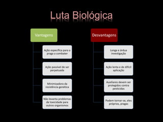 Luta Biológica
Vantagens
Ação específica para a
praga a combater
Ação passível de ser
perpetuada
Minimizadora da
resistência genética
Não levanta problemas
de toxicidade para
outros organismos
Desvantagens
Longa e árdua
investigação
Ação lenta e de difícil
aplicação
Auxiliares devem ser
protegidos contra
pesticidas
Podem tornar-se, eles
próprios, pragas
 