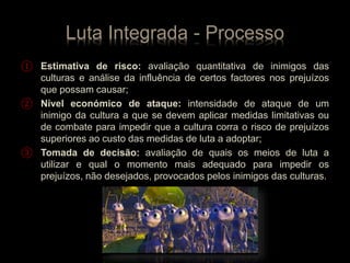 Luta Integrada - Processo
① Estimativa de risco: avaliação quantitativa de inimigos das
culturas e análise da influência de certos factores nos prejuízos
que possam causar;
② Nível económico de ataque: intensidade de ataque de um
inimigo da cultura a que se devem aplicar medidas limitativas ou
de combate para impedir que a cultura corra o risco de prejuízos
superiores ao custo das medidas de luta a adoptar;
③ Tomada de decisão: avaliação de quais os meios de luta a
utilizar e qual o momento mais adequado para impedir os
prejuízos, não desejados, provocados pelos inimigos das culturas.
 