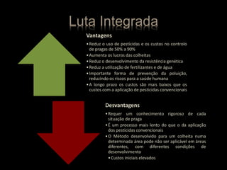Luta Integrada
Vantagens
•Reduz o uso de pesticidas e os custos no controlo
de pragas de 50% a 90%
•Aumenta os lucros das colheitas
•Reduz o desenvolvimento da resistência genética
•Reduz a utilização de fertilizantes e de água
•Importante forma de prevenção da poluição,
reduzindo os riscos para a saúde humana
•A longo prazo os custos são mais baixos que os
custos com a aplicação de pesticidas convencionais
Desvantagens
•Requer um conhecimento rigoroso de cada
situação de praga
•É um processo mais lento do que o da aplicação
dos pesticidas convencionais
•O Método desenvolvido para um colheita numa
determinada área pode não ser aplicável em áreas
diferentes, com diferentes condições de
desenvolvimento
•Custos iniciais elevados
 