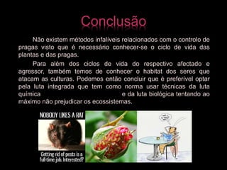 Conclusão
Não existem métodos infalíveis relacionados com o controlo de
pragas visto que é necessário conhecer-se o ciclo de vida das
plantas e das pragas.
Para além dos ciclos de vida do respectivo afectado e
agressor, também temos de conhecer o habitat dos seres que
atacam as culturas. Podemos então concluir que é preferível optar
pela luta integrada que tem como norma usar técnicas da luta
química e da luta biológica tentando ao
máximo não prejudicar os ecossistemas.
 