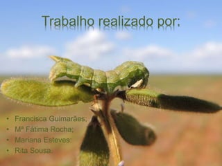 Trabalho realizado por:
• Francisca Guimarães;
• Mª Fátima Rocha;
• Mariana Esteves:
• Rita Sousa.
 