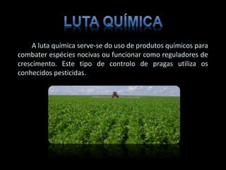 A luta química serve-se do uso de produtos químicos para
combater espécies nocivas ou funcionar como reguladores de
crescimento. Este tipo de controlo de pragas utiliza os
conhecidos pesticidas.
 