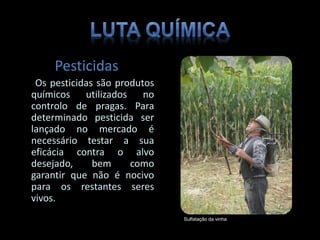 Pesticidas
Os pesticidas são produtos
químicos utilizados no
controlo de pragas. Para
determinado pesticida ser
lançado no mercado é
necessário testar a sua
eficácia contra o alvo
desejado, bem como
garantir que não é nocivo
para os restantes seres
vivos.
Sulfatação da vinha
 