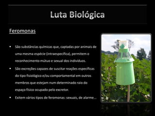 Feromonas
 São substâncias químicas que, captadas por animais de
uma mesma espécie (intraespecífica), permitem o
reconhecimento mútuo e sexual dos indivíduos.
 São excreções capazes de suscitar reações específicas
do tipo fisiológico e/ou comportamental em outros
membros que estejam num determinado raio do
espaço físico ocupado pelo excretor.
 Exitem vários tipos de feromonas: sexuais, de alarme...
 