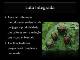  Associam diferentes
métodos com o objetivo de
conjugar a produtividade
das culturas com a redução
dos riscos ambientais.
 A aplicação destes
programas é complexa e
demorada.
 