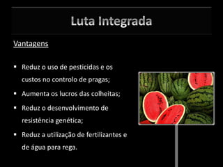 Vantagens
 Reduz o uso de pesticidas e os
custos no controlo de pragas;
 Aumenta os lucros das colheitas;
 Reduz o desenvolvimento de
resistência genética;
 Reduz a utilização de fertilizantes e
de água para rega.
 