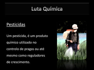 Pesticidas
Um pesticida, é um produto
químico utilizado no
controlo de pragas ou até
mesmo como reguladores
de crescimento.
 