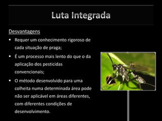 Desvantagens
 Requer um conhecimento rigoroso de
cada situação de praga;
 É um processo mais lento do que o da
aplicação dos pesticidas
convencionais;
 O método desenvolvido para uma
colheita numa determinada área pode
não ser aplicável em áreas diferentes,
com diferentes condições de
desenvolvimento.
 