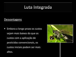 Desvantagens
 Embora a longo prazo os custos
sejam mais baixos do que os
custos com a aplicação de
pesticidas convencionais, os
custos iniciais podem ser mais
altos.
 