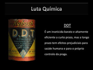 DDT
É um inseticida barato e altamente
eficiente a curto prazo, mas a longo
prazo tem efeitos prejudiciais para
saúde humana e para o próprio
controlo da praga.
 