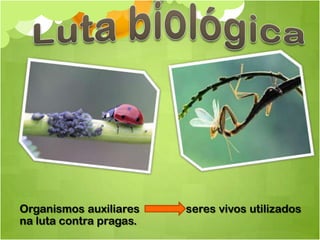 Organismos auxiliares    seres vivos utilizados
na luta contra pragas.
 