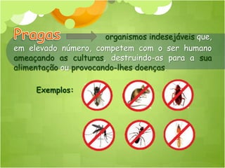 organismos indesejáveis que,
em elevado número, competem com o ser humano
ameaçando as culturas, destruindo-as para a sua
alimentação ou provocando-lhes doenças.

     Exemplos:
 
