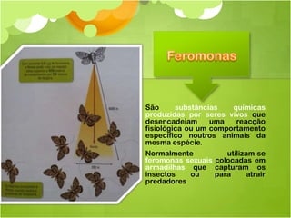 São      substâncias   químicas
produzidas por seres vivos que
desencadeiam      uma   reacção
fisiológica ou um comportamento
específico noutros animais da
mesma espécie.
Normalmente          utilizam-se
feromonas sexuais colocadas em
armadilhas que capturam os
insectos   ou     para      atrair
predadores
 