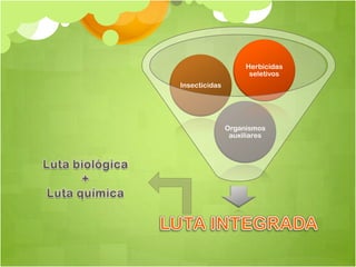 Herbicidas
                     seletivos
Insecticidas




               Organismos
                auxiliares
 