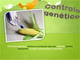 Tem como objectivo melhorar a produção agrícola, obtendo plantas
         resistentes a certos consumidores e parasitas
 
