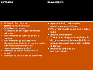 Vantagens                                    Desvantagens




 Protecção das culturas                     ✖ Aparecimento de insectos
• Tolerância aos herbicidas                    resistentes a pesticidas
• Resistência a pragas                       ✖ Possível impacto sobre os insectos
• Resistência as alterações climáticas
                                               úteis
  extremas
 Melhoramento da nutrição animal e          ✖ Riscos alimentares
  humana                                     • Toxicidade, alergias, transferência
• Melhoramento da qualidade dos                de genes resistentes a antibióticos
  alimentos (modificação do teor em certos     para organismos que vivem no tubo
  nutrientes, melhoramente da                  digestivo
  conservação dos produtos)                  ✖ Riscos de redução de
 Redução de custos no controlo de             biodiversidade
  pragas
 Redução da quantidade de pesticidas
 