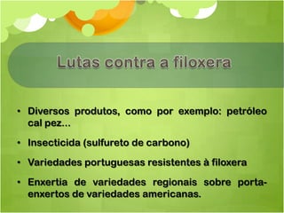 • Diversos produtos, como por exemplo: petróleo
  cal pez...

• Insecticida (sulfureto de carbono)
• Variedades portuguesas resistentes à filoxera

• Enxertia de variedades regionais sobre porta-
  enxertos de variedades americanas.
 