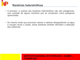 INSTITUTO NACIONAL DE PETRÓLEOS – SUMBE –
CUANZA-SUL
Bactérias heterotróficas
• A princípio, a maioria das bactérias heterotróficas não são patogênicas,
com exceção de alguns membros que se comportam como patógenos
oportunistas.
• Do mesmo modo que provocam odores e sabores desagradáveis na água
e causam riscos a saúde, essas bactérias também dificultam a detecção
dos coliformes.
26
 