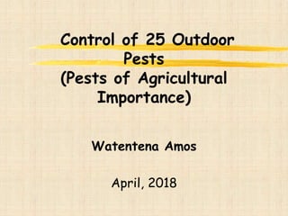 Control of 25 Outdoor
Pests
(Pests of Agricultural
Importance)
Watentena Amos
April, 2018
 