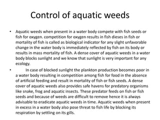 Control of aquatic weeds