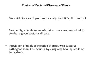 Control of Bacterial Diseases of Plants
• Bacterial diseases of plants are usually very difficult to control.
• Frequently, a combination of control measures is required to
combat a given bacterial disease.
• Infestation of fields or infection of crops with bacterial
pathogens should be avoided by using only healthy seeds or
transplants.
 