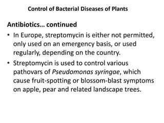 Control of Bacterial Diseases of Plants
Antibiotics… continued
• In Europe, streptomycin is either not permitted,
only use...