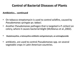 Control of Bacterial Diseases of Plants
Antibiotics… continued
• On tobacco streptomycin is used to control wildfire, caus...