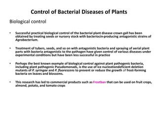 Control of Bacterial Diseases of Plants
Biological control
• Successful practical biological control of the bacterial plan...