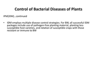 Some common bacterial diseases
BACTERIAL SPOTS AND BLIGHTS
• The most common types of bacterial diseases of plants are tho...