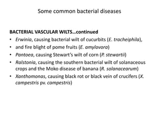 Control of Bacterial Diseases of Plants.pptx