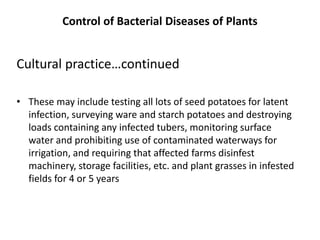 Control of Bacterial Diseases of Plants
Cultural practice…continued
• These may include testing all lots of seed potatoes ...
