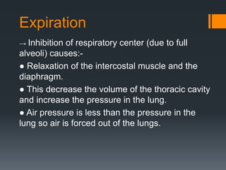 Expiration 
→ Inhibition of respiratory center (due to full 
alveoli) causes:- 
● Relaxation of the intercostal muscle and the 
diaphragm. 
● This decrease the volume of the thoracic cavity 
and increase the pressure in the lung. 
● Air pressure is less than the pressure in the 
lung so air is forced out of the lungs. 
 