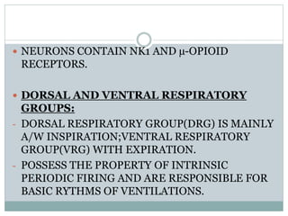  NEURONS CONTAIN NK1 AND µ-OPIOID
RECEPTORS.
 DORSAL AND VENTRAL RESPIRATORY
GROUPS:
- DORSAL RESPIRATORY GROUP(DRG) IS MAINLY
A/W INSPIRATION;VENTRAL RESPIRATORY
GROUP(VRG) WITH EXPIRATION.
- POSSESS THE PROPERTY OF INTRINSIC
PERIODIC FIRING AND ARE RESPONSIBLE FOR
BASIC RYTHMS OF VENTILATIONS.
 