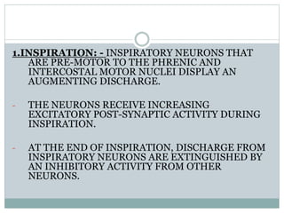 1.INSPIRATION: - INSPIRATORY NEURONS THAT
ARE PRE-MOTOR TO THE PHRENIC AND
INTERCOSTAL MOTOR NUCLEI DISPLAY AN
AUGMENTING DISCHARGE.
- THE NEURONS RECEIVE INCREASING
EXCITATORY POST-SYNAPTIC ACTIVITY DURING
INSPIRATION.
- AT THE END OF INSPIRATION, DISCHARGE FROM
INSPIRATORY NEURONS ARE EXTINGUISHED BY
AN INHIBITORY ACTIVITY FROM OTHER
NEURONS.
 