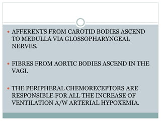  AFFERENTS FROM CAROTID BODIES ASCEND
TO MEDULLA VIA GLOSSOPHARYNGEAL
NERVES.
 FIBRES FROM AORTIC BODIES ASCEND IN THE
VAGI.
 THE PERIPHERAL CHEMORECEPTORS ARE
RESPONSIBLE FOR ALL THE INCREASE OF
VENTILATION A/W ARTERIAL HYPOXEMIA.
 