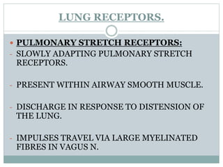 LUNG RECEPTORS.
 PULMONARY STRETCH RECEPTORS:
- SLOWLY ADAPTING PULMONARY STRETCH
RECEPTORS.
- PRESENT WITHIN AIRWAY SMOOTH MUSCLE.
- DISCHARGE IN RESPONSE TO DISTENSION OF
THE LUNG.
- IMPULSES TRAVEL VIA LARGE MYELINATED
FIBRES IN VAGUS N.
 