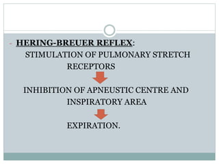 - HERING-BREUER REFLEX:
STIMULATION OF PULMONARY STRETCH
RECEPTORS
INHIBITION OF APNEUSTIC CENTRE AND
INSPIRATORY AREA
EXPIRATION.
 