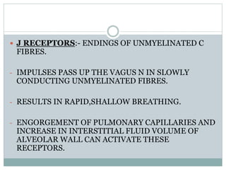  J RECEPTORS:- ENDINGS OF UNMYELINATED C
FIBRES.
- IMPULSES PASS UP THE VAGUS N IN SLOWLY
CONDUCTING UNMYELINATED FIBRES.
- RESULTS IN RAPID,SHALLOW BREATHING.
- ENGORGEMENT OF PULMONARY CAPILLARIES AND
INCREASE IN INTERSTITIAL FLUID VOLUME OF
ALVEOLAR WALL CAN ACTIVATE THESE
RECEPTORS.
 