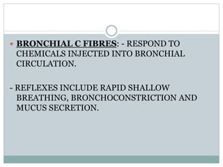  BRONCHIAL C FIBRES: - RESPOND TO
CHEMICALS INJECTED INTO BRONCHIAL
CIRCULATION.
- REFLEXES INCLUDE RAPID SHALLOW
BREATHING, BRONCHOCONSTRICTION AND
MUCUS SECRETION.
 
