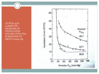 AT PCO2 35.8,
ALMOST NO
INCREASE OF
VENTILATION
OCCURS UNTIL PO2
IS REDUCED TO
ABOUT 50mm Hg.
 